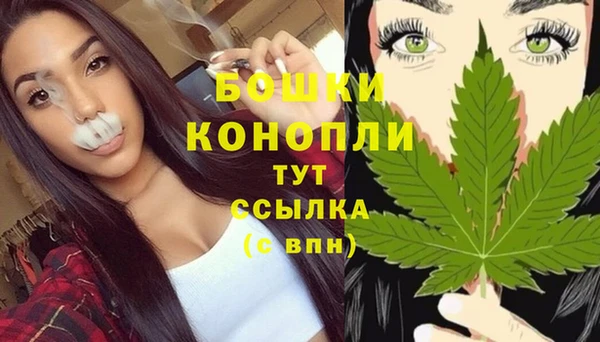 ГАЛЛЮЦИНОГЕННЫЕ ГРИБЫ Ступино
