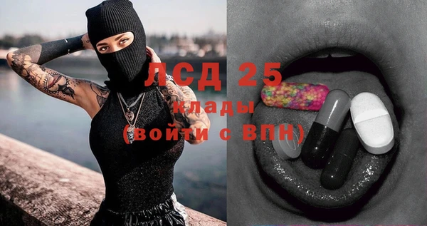 ГАЛЛЮЦИНОГЕННЫЕ ГРИБЫ Ступино