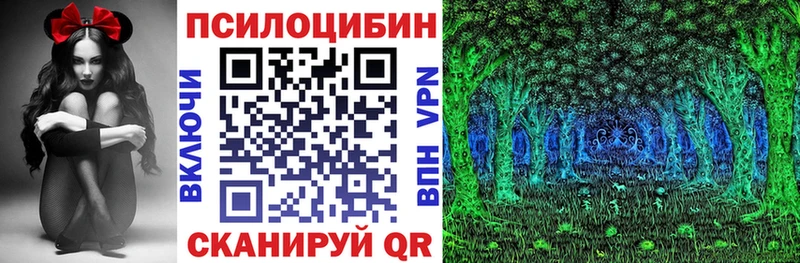 Галлюциногенные грибы Psilocybine cubensis  Брюховецкая 